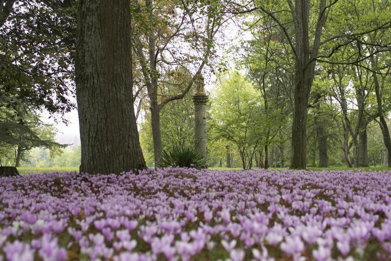 Chateau De Larroque Gimont ภายนอก รูปภาพ