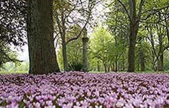 Chateau De Larroque Gimont ภายนอก รูปภาพ